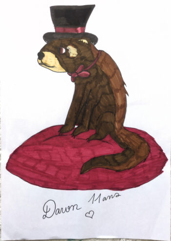 Dessin de Dawn 