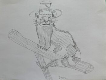 Dessin de Garance