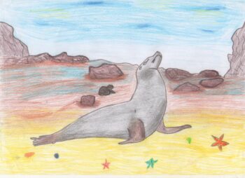 Dessin de Lilou