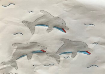 Dessin de Ferréol 