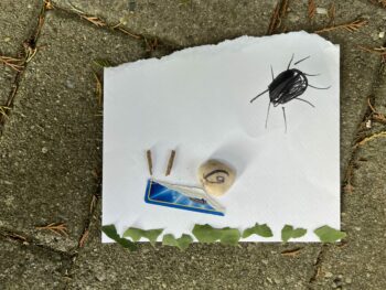 Dessin de Kaleo