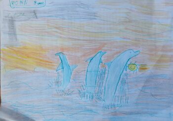 Dessin de Robin