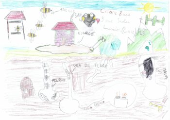 Dessin de Cesare