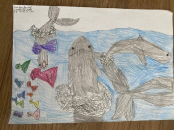 Dessin de Iris 