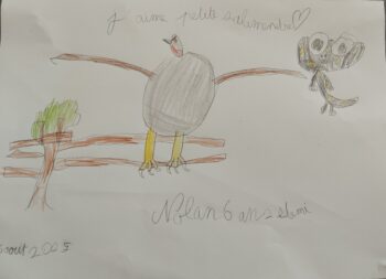Dessin de Nolan