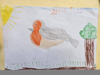 Dessin de Adélie
