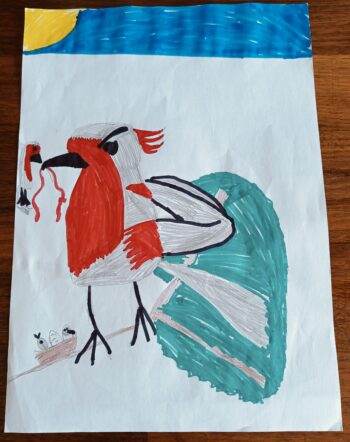 Dessin de Aimie 