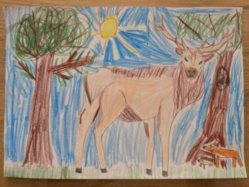 Dessin de Corentin 