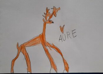 Dessin de Aure