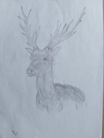 Dessin de Nilo
