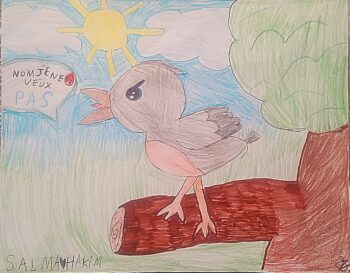 Dessin de Salma 