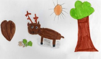 Dessin de Apolline