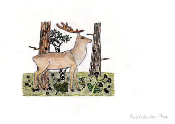 Dessin de Arto