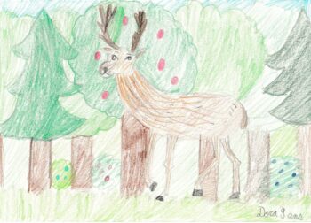 Dessin de Dora
