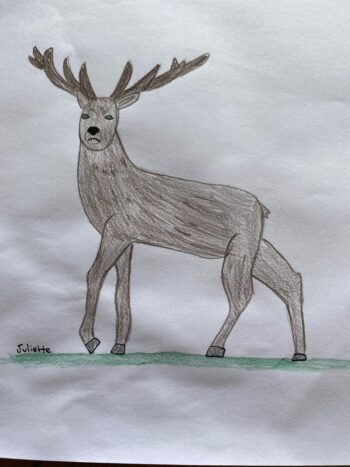 Dessin de Juliette 