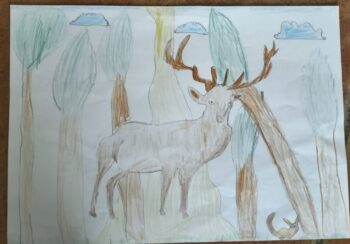 Dessin de Dylan