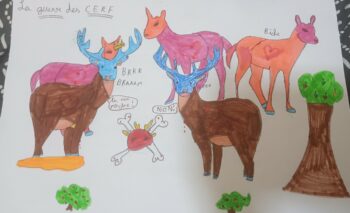Dessin de Noralyne 
