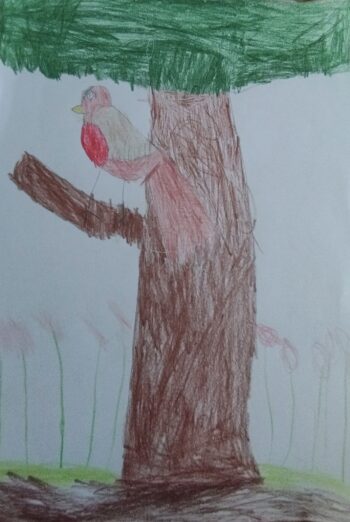 Dessin de Armand 