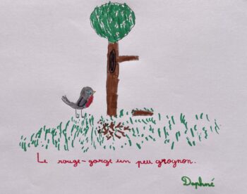 Dessin de Daphné
