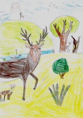 Dessin de Vasco 