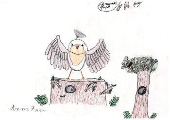 Dessin de Anna
