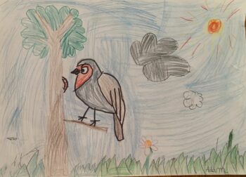 Dessin de Adam
