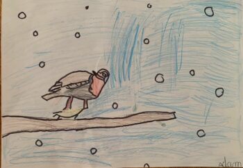 Dessin de Adam