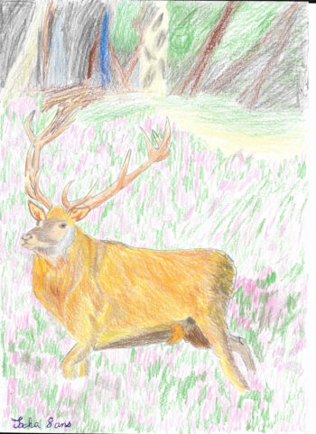 Dessin de Sacha