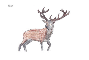 Dessin de Raksmey 