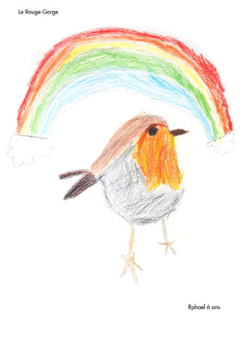 Dessin de Raphael 