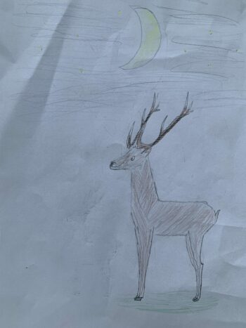 Dessin de Robin