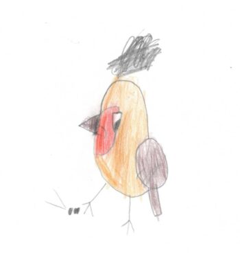 Dessin de Timothy