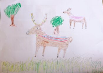 Dessin de Amaya