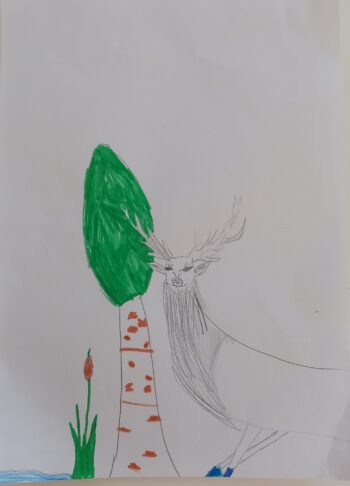 Dessin de Enzo