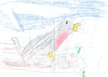 Dessin de Younes