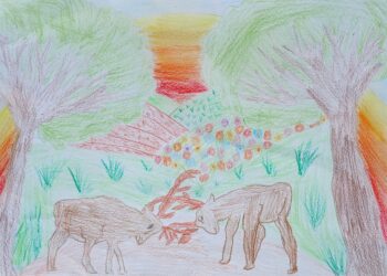 Dessin de Enzo