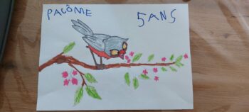 Dessin de Pacôme