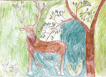 Dessin de Antoine