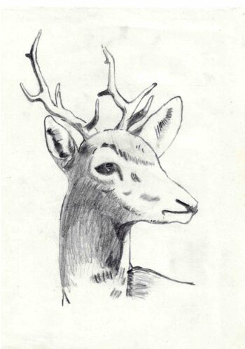 Dessin de Galiléo