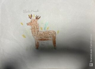 Dessin de Charlie