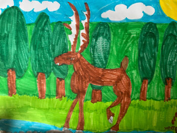 Dessin de Hortense