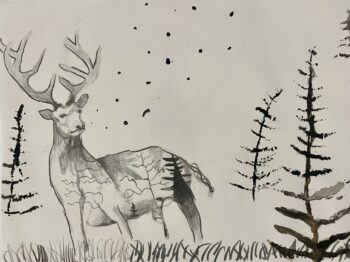 Dessin de Jules