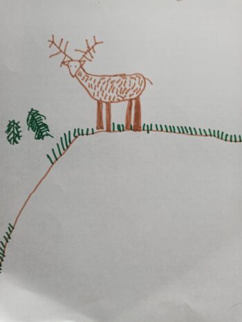 Dessin de Edwin