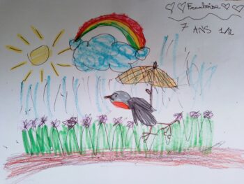 Dessin de Framboise