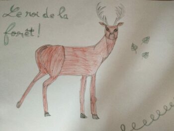 Dessin de Louise