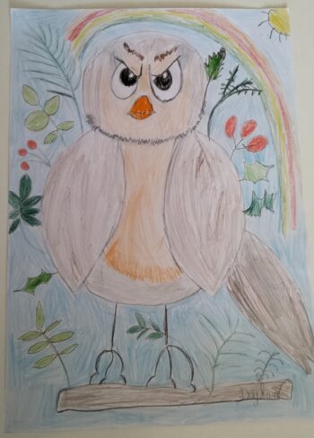 Dessin de Dylan
