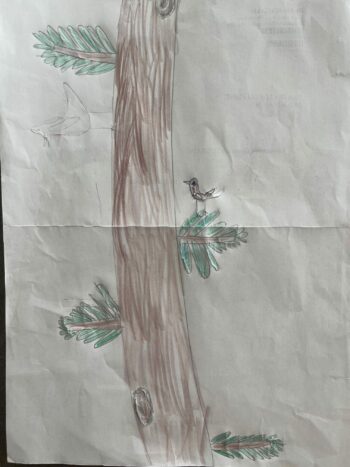 Dessin de Annabel