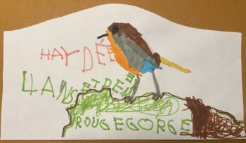 Dessin de Haydée 