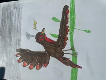 Dessin de Isée