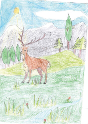 Dessin de Mayeul